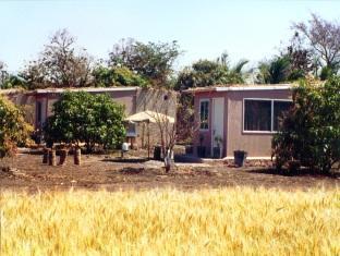 Gir Birding Lodge Sasan Gir Exterior photo